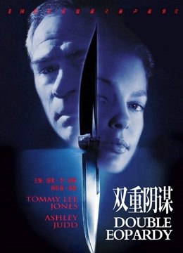 双重危机封面图