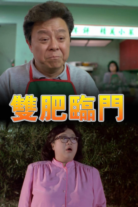 双肥临门封面图