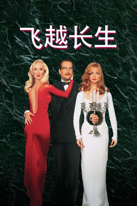 飞越长生封面图