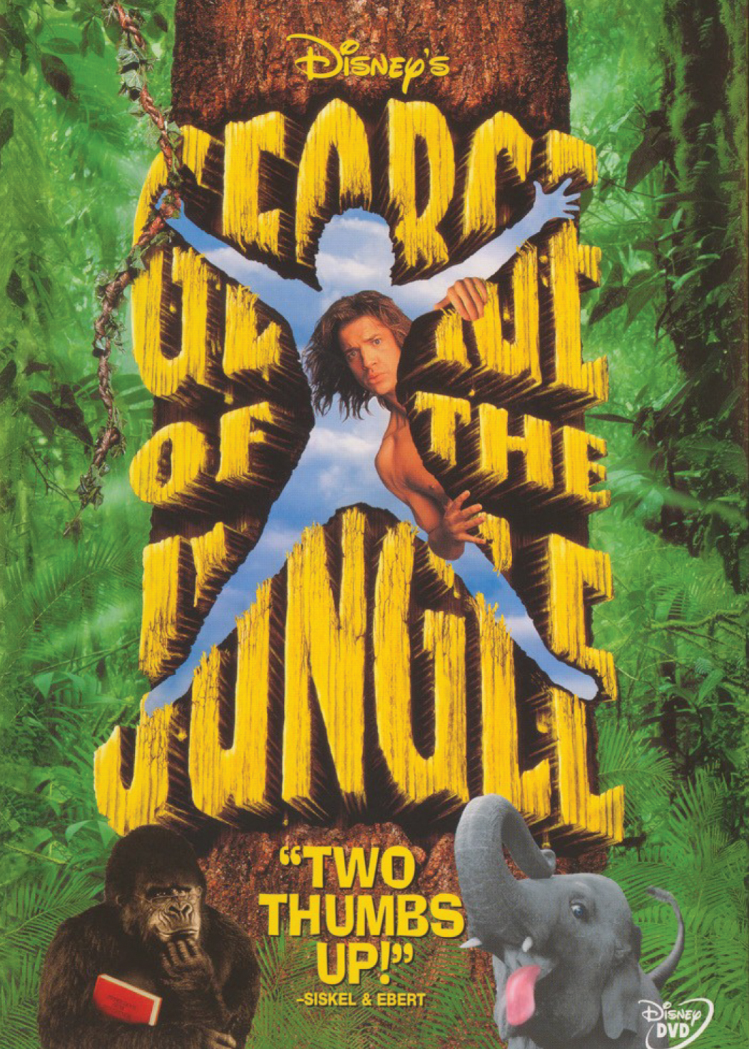 森林泰山封面图