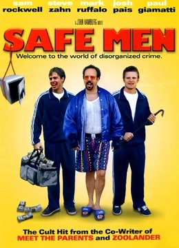 冒牌高手封面图