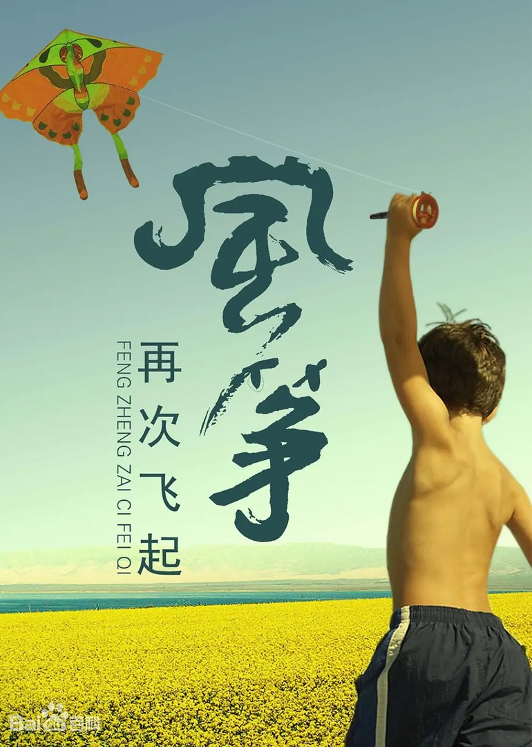 风筝再次飞起封面图