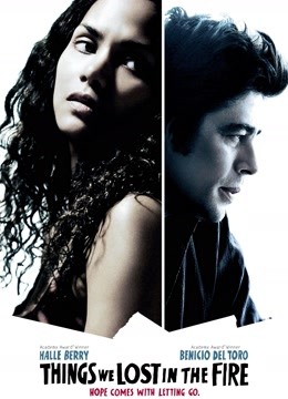 遗失在火中的记忆封面图