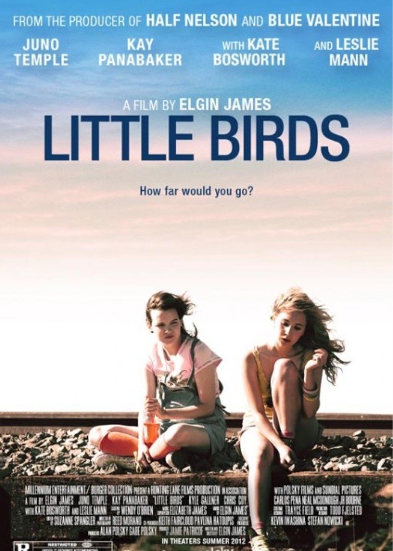 我们是一群小小鸟封面图