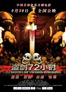 盗剑72小时封面图