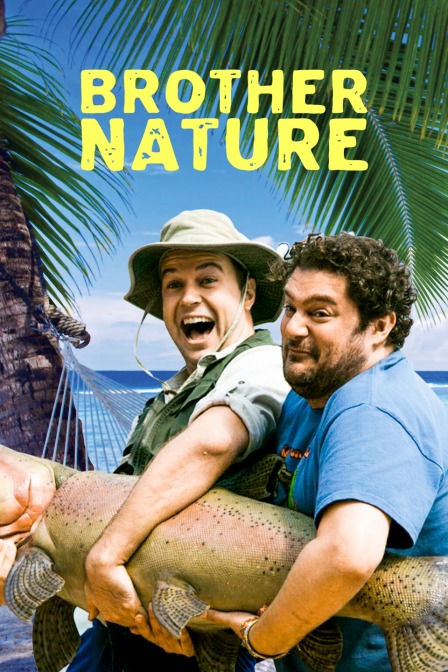 兄弟是天生封面图