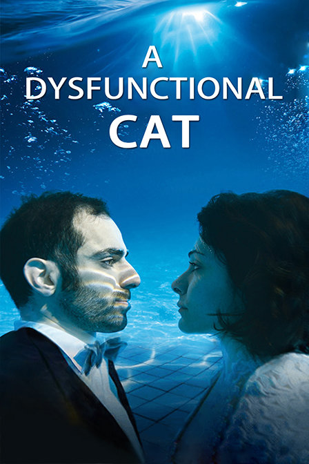 一只功能失调的猫封面图