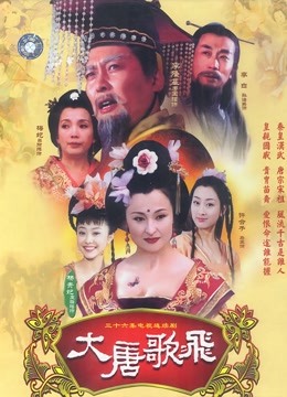 大唐歌飞封面图