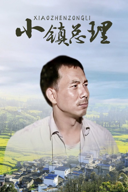 小镇总理封面图