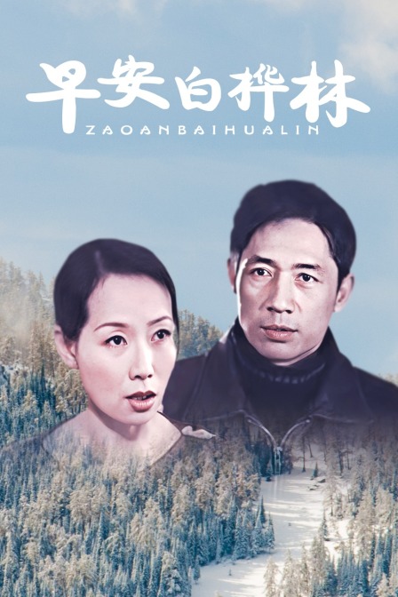 早安白桦林封面图