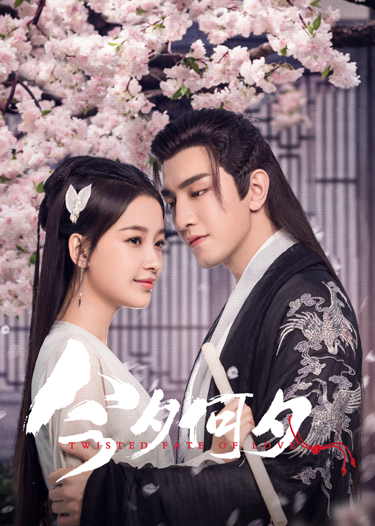 今夕何夕封面图