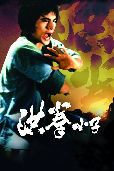 洪拳小子封面图