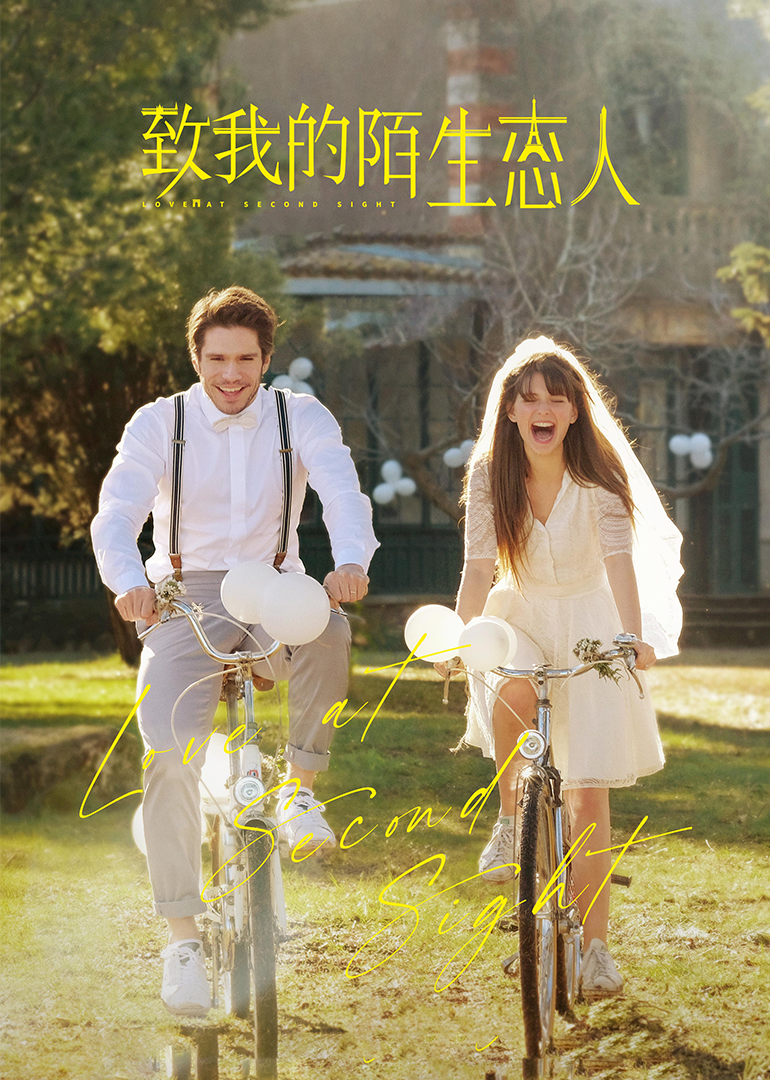 致我的陌生恋人封面图