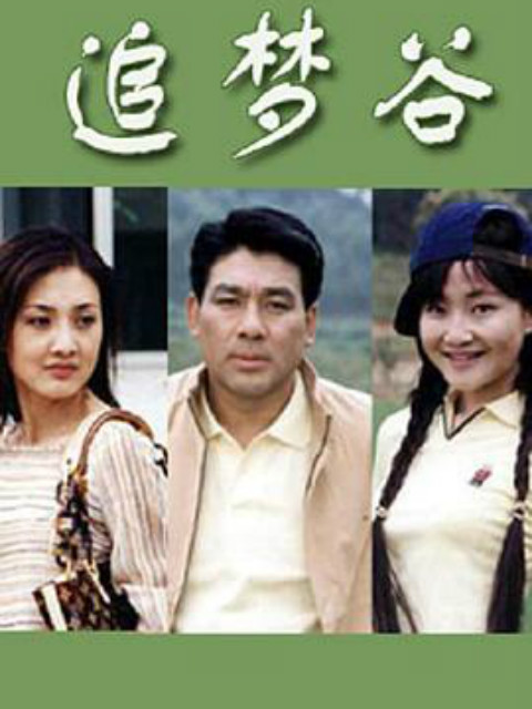 追梦谷封面图