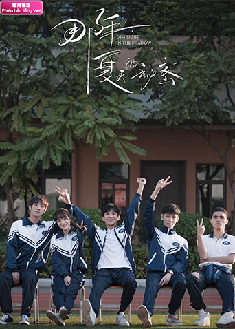 那年夏天的秘密 越南语版封面图