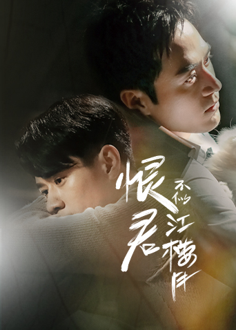 恨君不似江楼月封面图