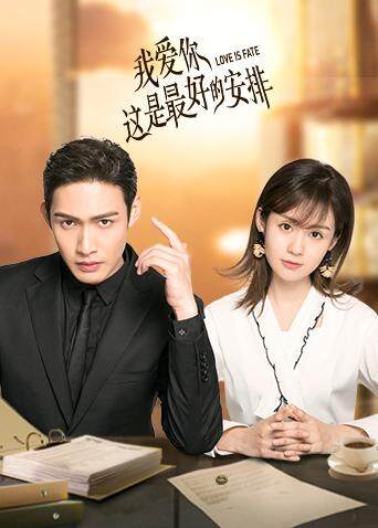 我爱你这是最好的安排封面图