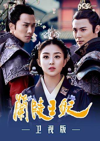兰陵王妃封面图