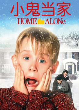 小鬼当家封面图