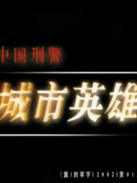 中国刑警之城市英雄封面图