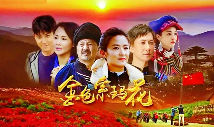 金色索玛花封面图