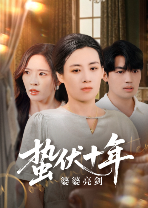 蛰伏十年婆婆亮剑封面图