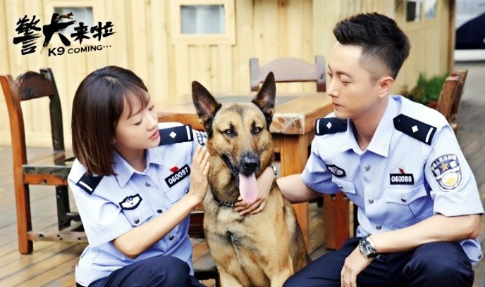 警犬来啦