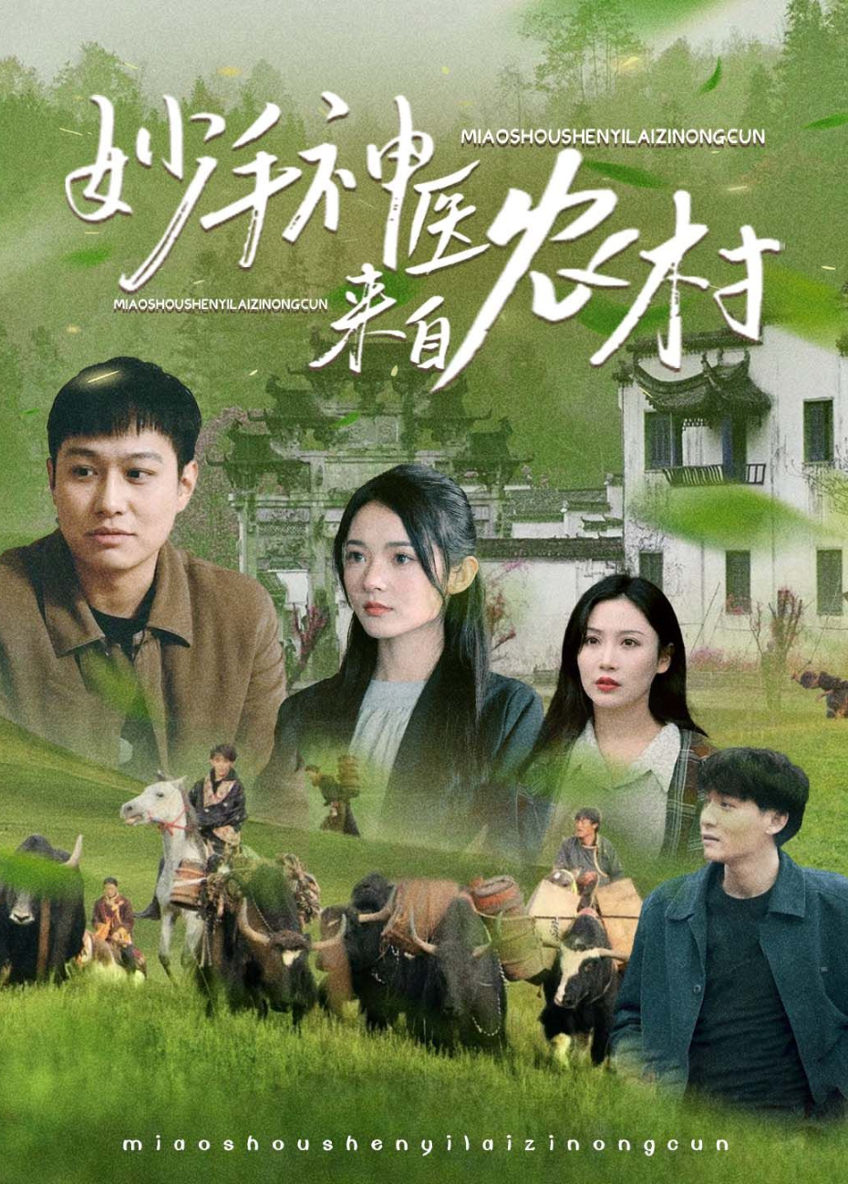 妙手神医来自农村