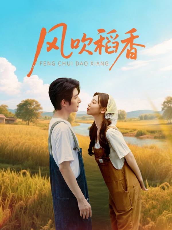 风吹稻香封面图