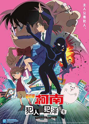 名侦探柯南：犯人犯泽先生封面图