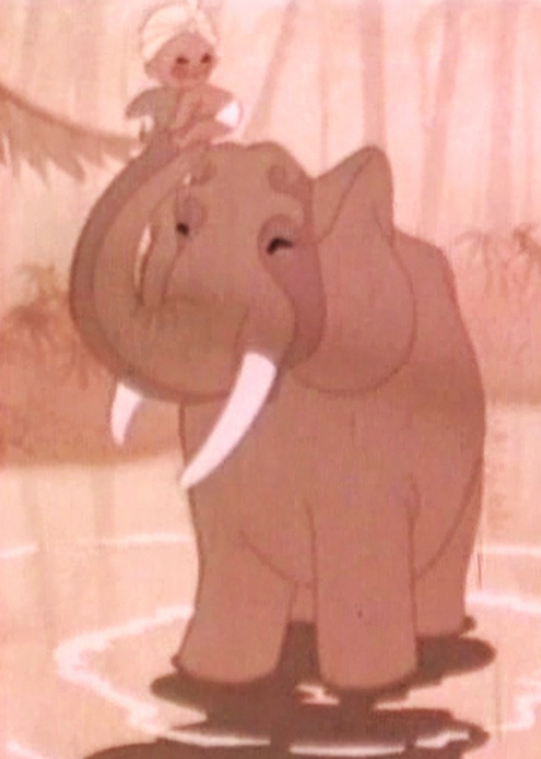 太阳的小客人封面图