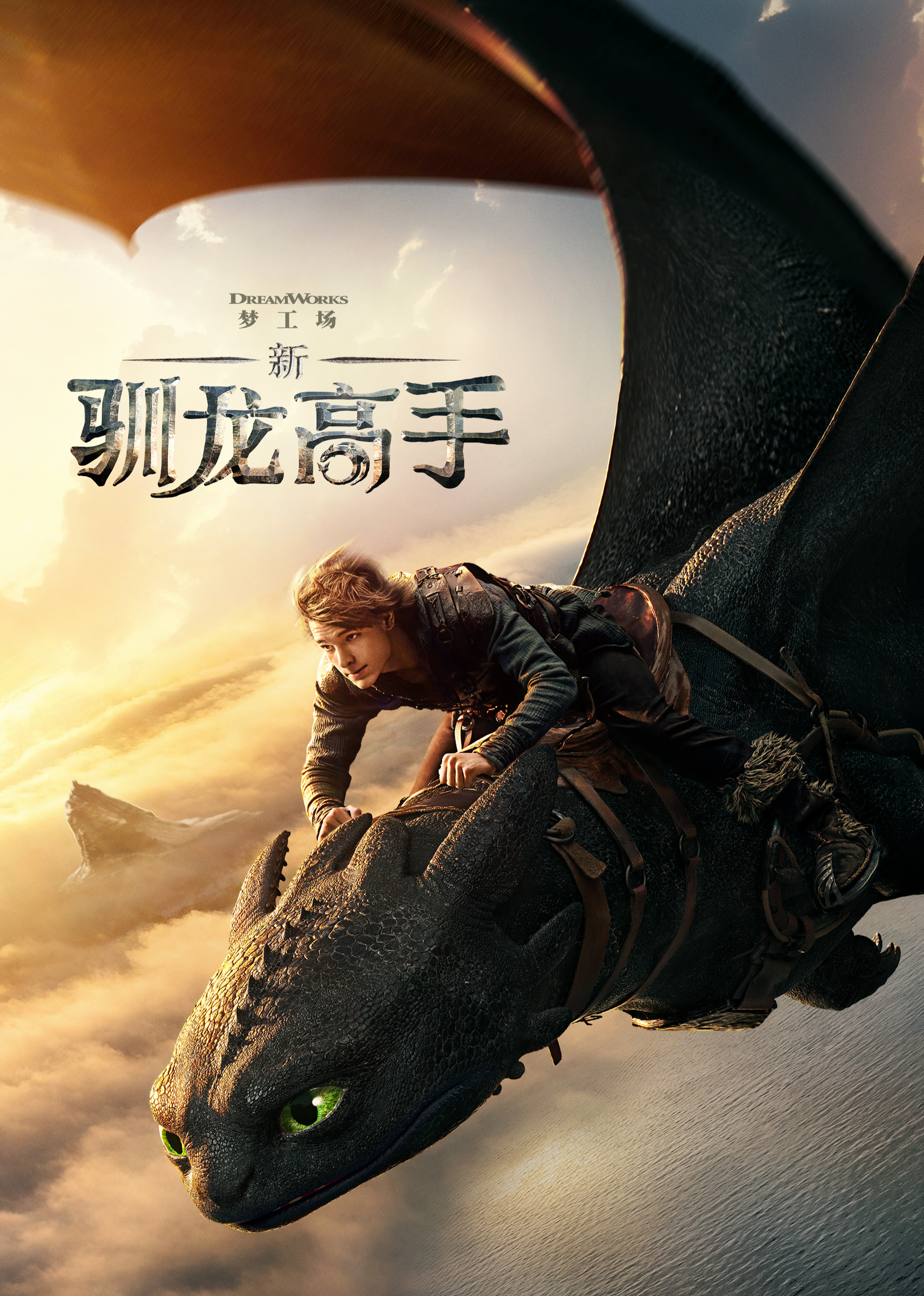 新·驯龙高手封面图