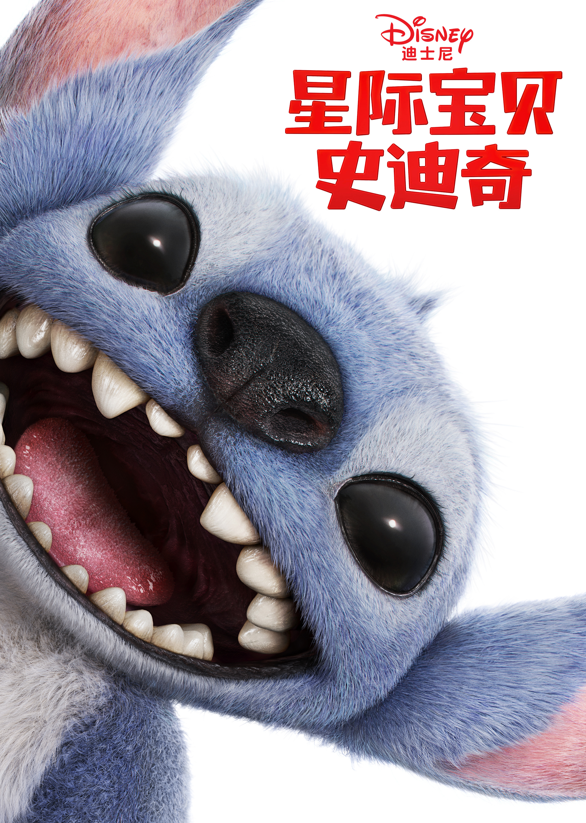 星际宝贝史迪奇封面图