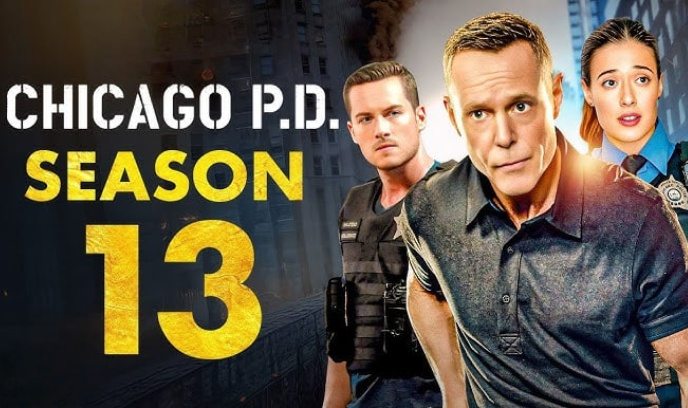 芝加哥警署 第十三季