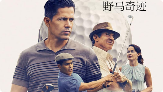 野马奇迹封面图