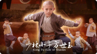 少林小子方世玉封面图