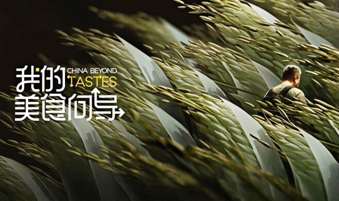 我的美食向导封面图