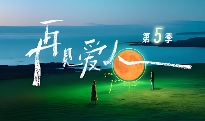 再见爱人 第五季