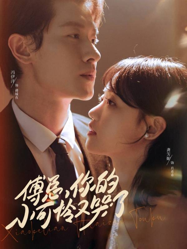 傅总你的小可怜又哭了封面图