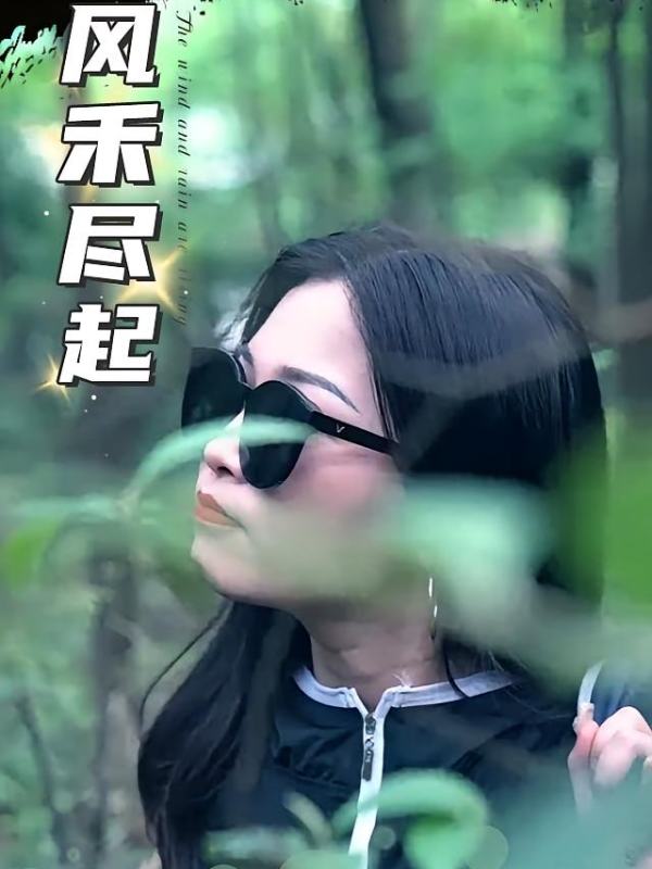 风禾尽起封面图