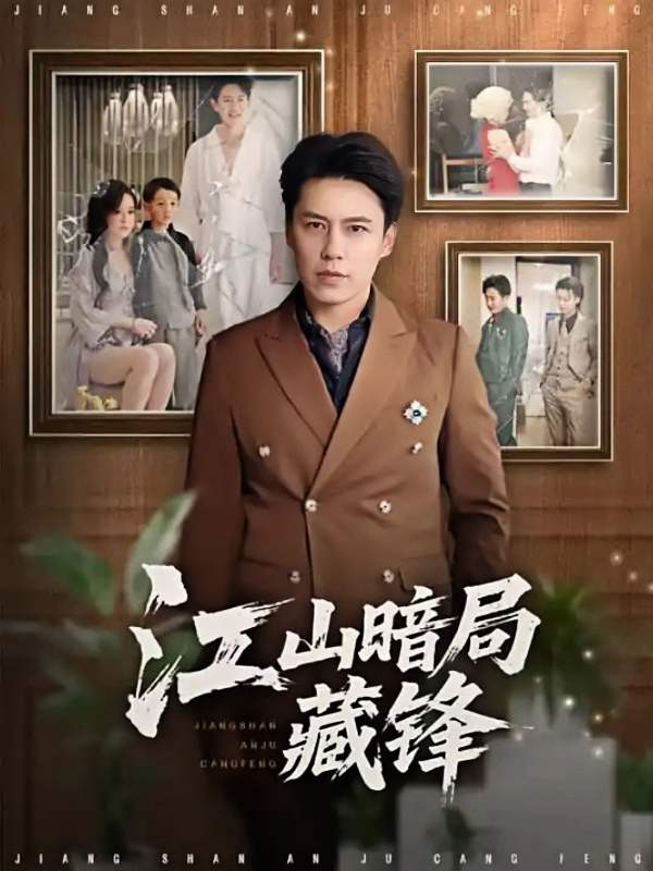 江山暗局藏锋封面图