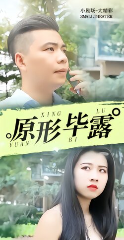 原形毕露封面图