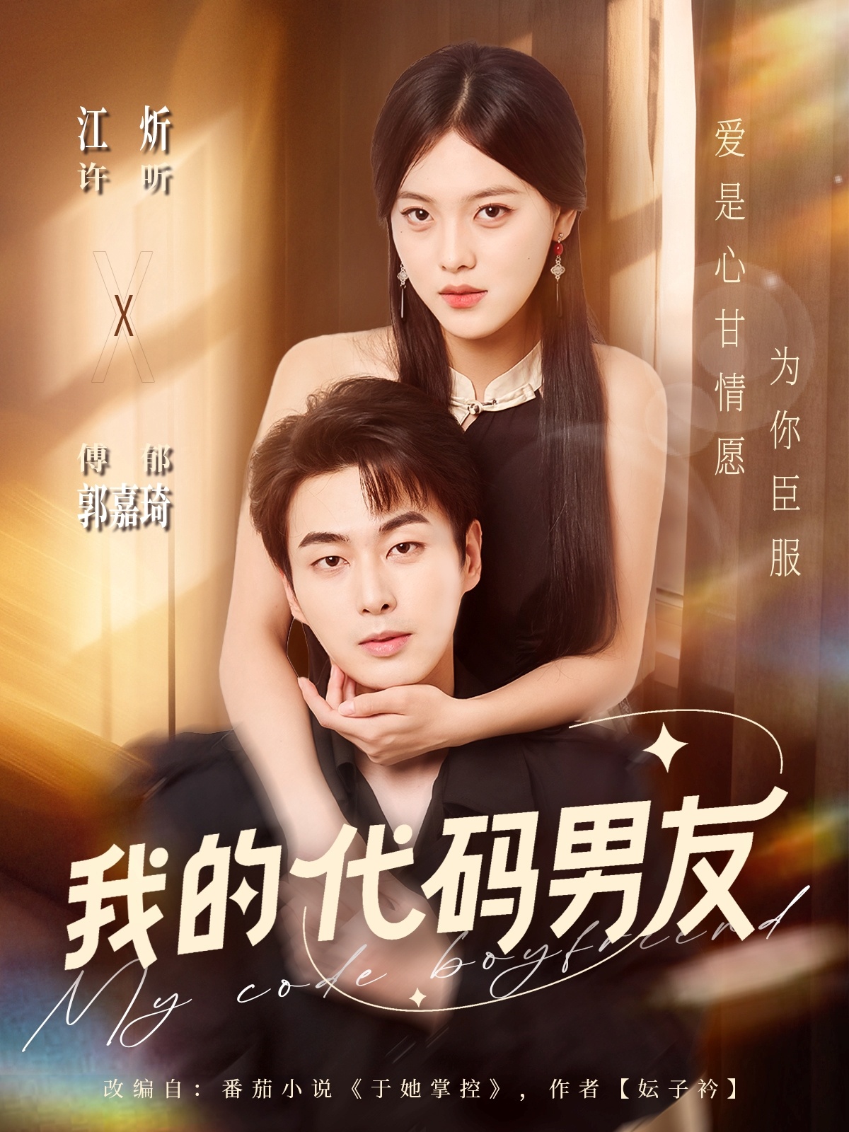 我的代码男友封面图