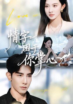 情字困于你掌心封面图