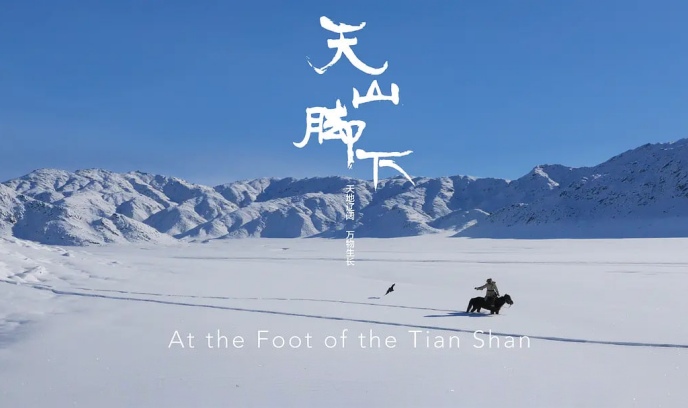 天山脚下封面图