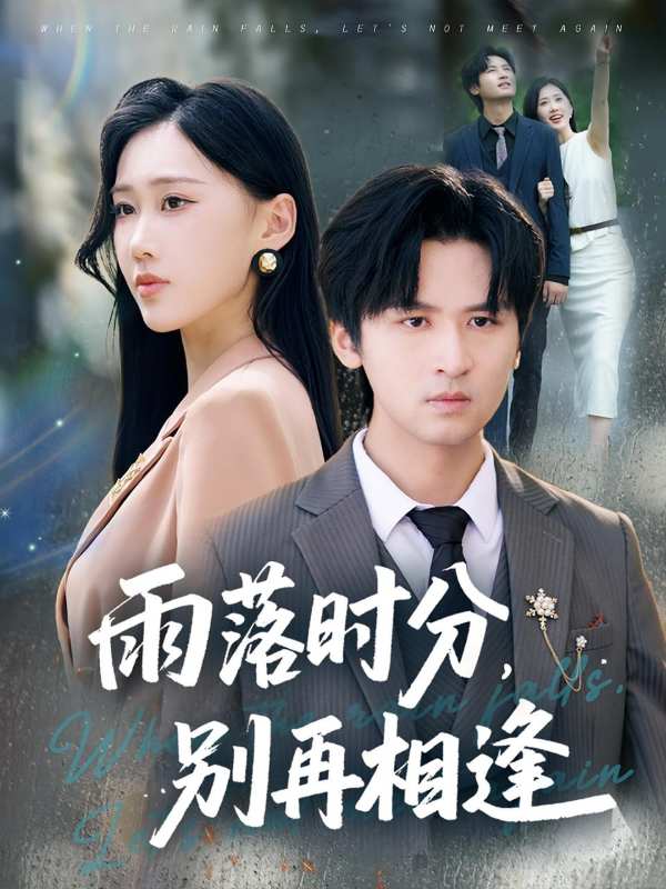 雨落时分别再相逢封面图