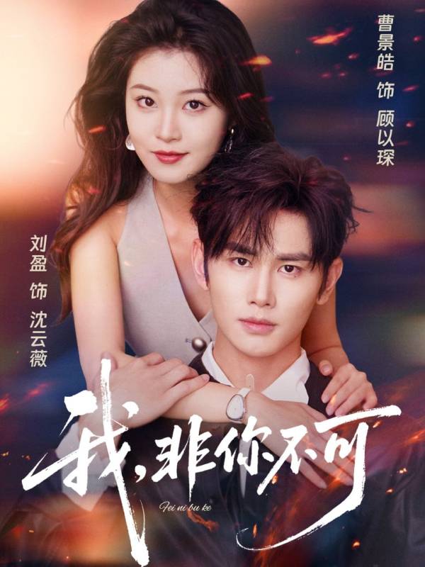 我非你不可封面图