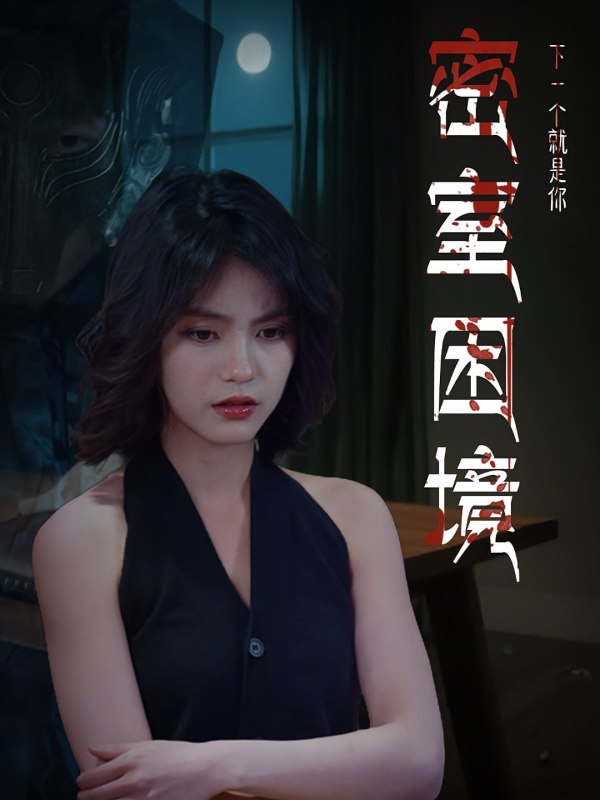 密室困境封面图