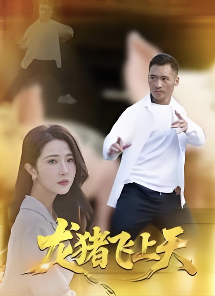 龙猪飞上天封面图