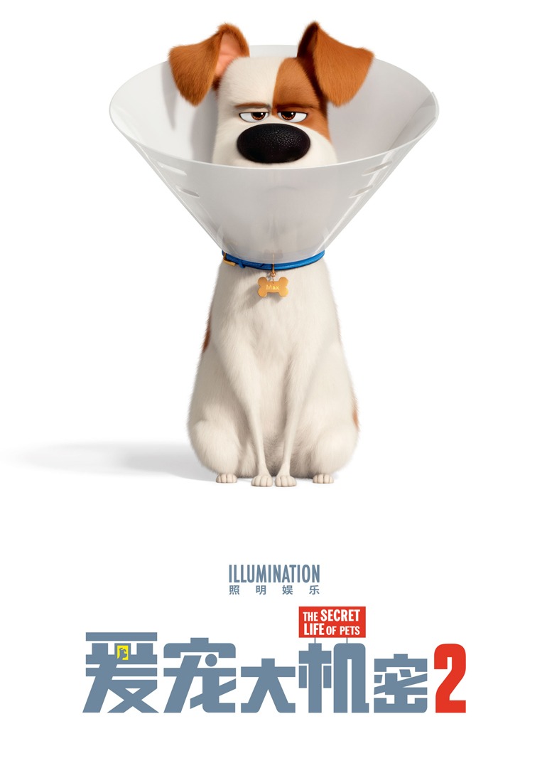 爱宠大机密2封面图